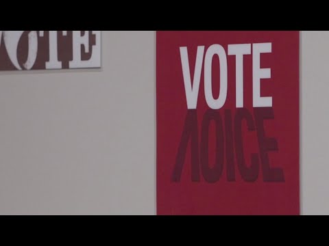 Illinois voters head to the polls for consolidated general election ...