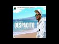 Despacito (Hindi Version) | Uday Bagri