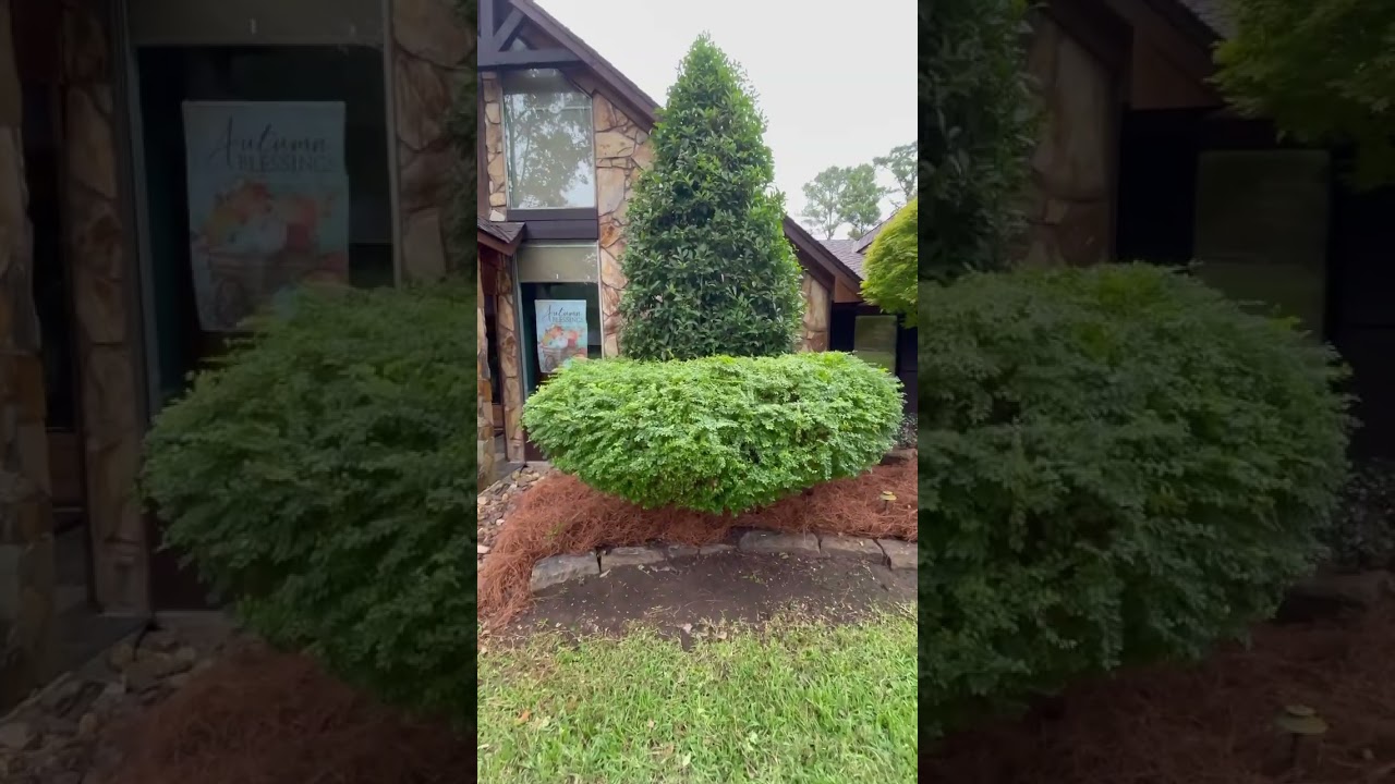 Landscape maintenance 