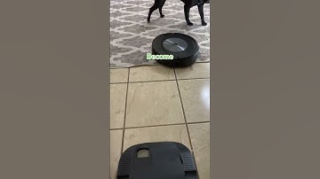 Wanna play a game? #onlyonerule