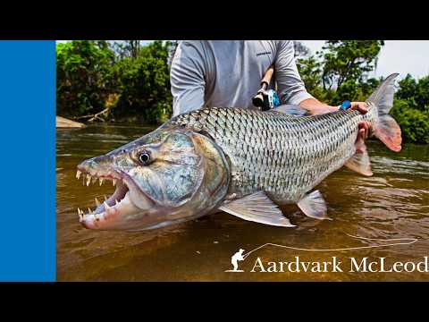 Fly Fishing in Africa - Teaser