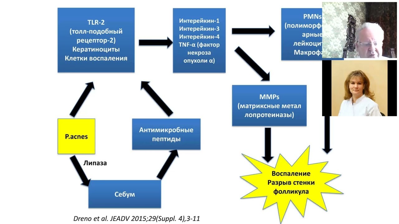 Доклад о преимуществах препарата Минолексин