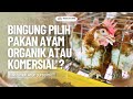Mana sih yang paling baik Untuk Ternak Ayam? Pakan Ayam Organik atau Komersial? Penasaran?Simak Yuk!