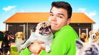 I Opened My Own ANIMAL SHELTER… (simulator) screenshot 3