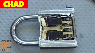 (965) Sesame K-500 From Chad Dissected