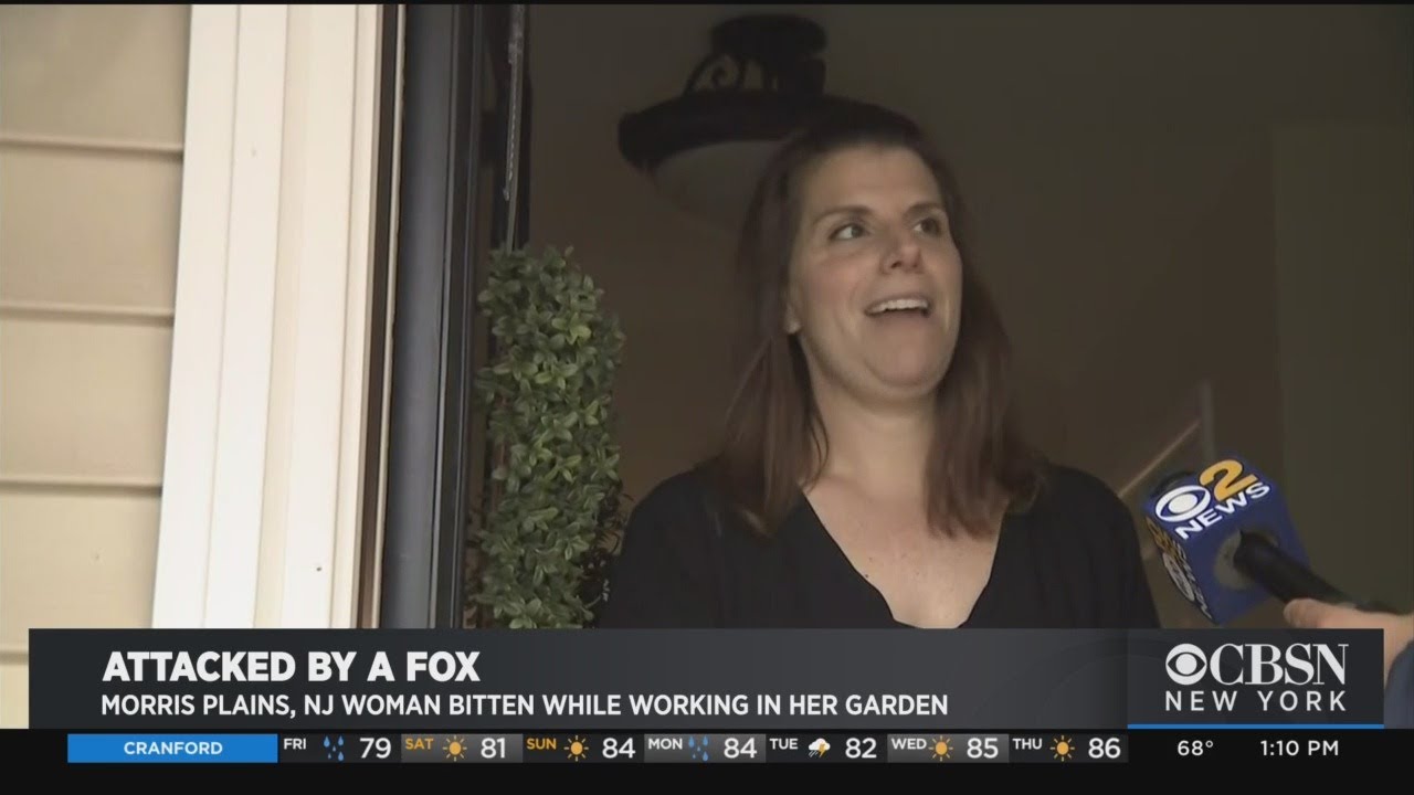 N.J. Mother Bitten While Saving Daughter From Possibly Rabid Fox - YouTube