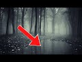 Top 10 Amazing Forest Discoveries