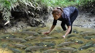 Full Video : Fishing Techniques - Building A Stream Fish Trap System, Survival Fishing