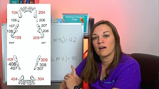 Triadan Numbering System Explained by Kendra the Vet Tech 6,314 views 2 years ago 8 minutes, 17 seconds