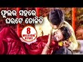 Phula Ra Sahare ଫୁଲ ର ସହରେ - Odia Romantic Song | Album - Bana Harini | Sidharth Music