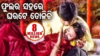 Phula Ra Sahare ଫୁଲ ର ସହରେ - Odia Romantic Song | Album - Bana Harini | Sidharth Music