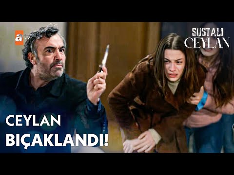 Necmi, Ceylan'a saldırdı! - Sustalı Ceylan