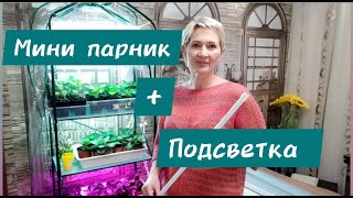 Парник-стеллаж и бюджетная подсветка💡💡💡#стеллаж#лампы#гортензия