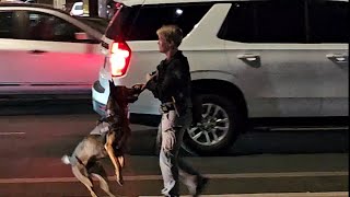 How Cops use K9 Dog to Circumvent 4th Amendment and Search your Vehicle 🚘🐕