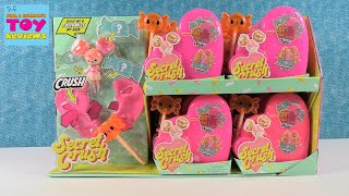 Secret Crush Minis Customizable Collector Doll Unboxing Review Pstoyreviews