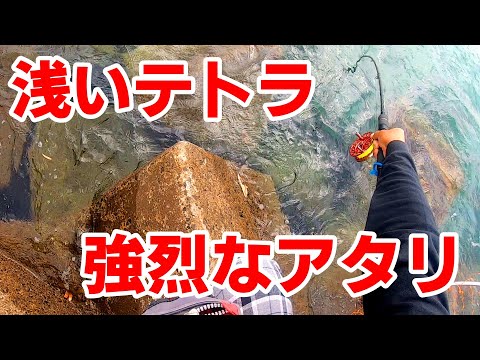 チヌ釣り テトラでの黒鯛 チヌ の釣り方 ヘチ釣り カニ餌 釣り動画