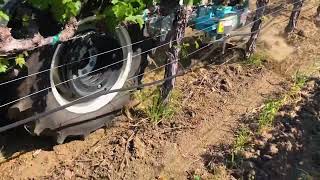 Agrofer Comby DxSx + Hoe Plow - MG Equipment Company