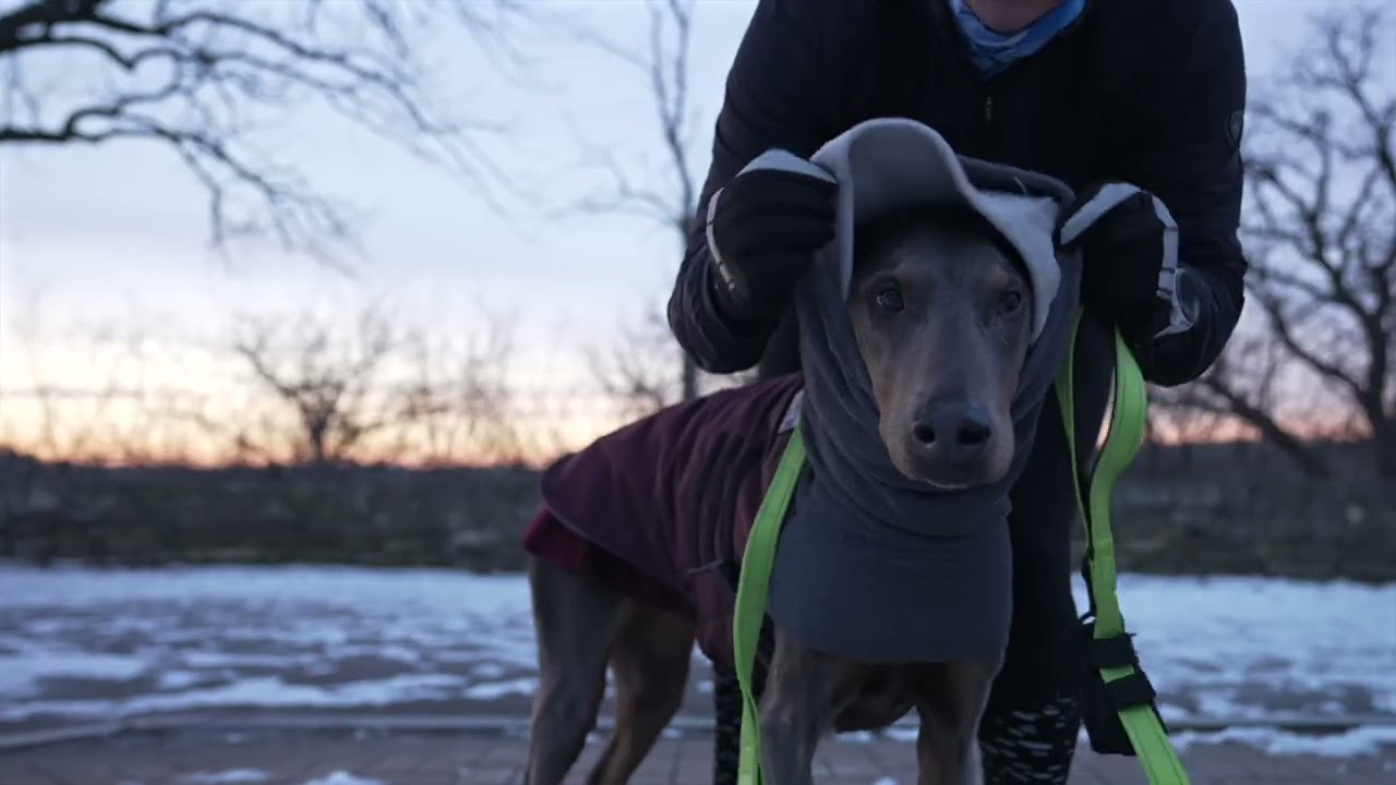 Runner | WCCO NEXT Weather Promo 2025