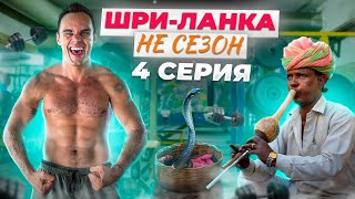 видео: Трешовая Ланкийская Качалка за 1$, Заклинатель Диких Кобр в Галле, Русский Ресторан Для Богатых.Влог картинка: Трешовая Ланкийская Качалка за 1$, Заклинатель Диких Кобр в Галле, Русский Ресторан Для Богатых.Влог