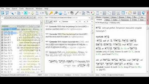 Orientation to the BibleWorks Search Window