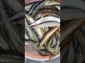 Best River fishing ❤️❤️#ytshorts #viral #fishing #river