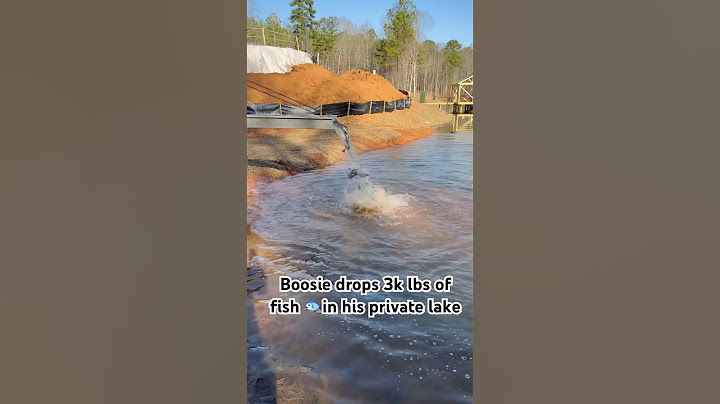 Just dropped 3k lbs of fish in my private lake… who wanna come fish with Boosie #boosie #fishing