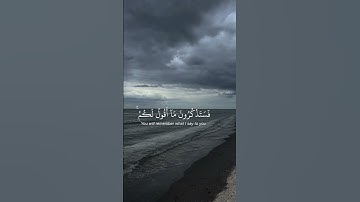 القارئ ياسر الدوسري | سورة غافر