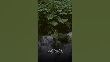 سورة#البلد #القارئ #ياسر_الدوسري