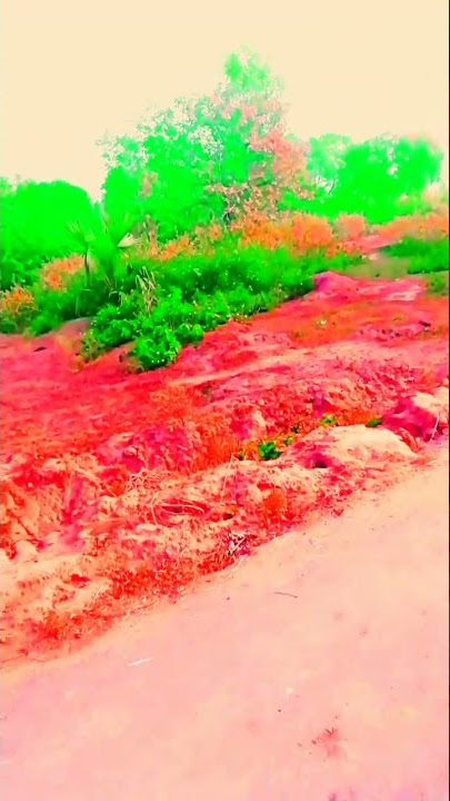 #my first vlog viral vlog shotsviral vlog videoflu shot vlogviral