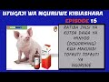 EPISODE 16 UFUGAJI WA NGURUWE KIBIASHARA Ratiba Sahihi Ya Kutoa Chanjo Ya Mnyoo Kwa Makund Tofauti EPISODE 16 UFUGAJI WA NGURUWE KIBIASHARA Ratiba Sahihi Ya Kutoa Chanjo Ya Mnyoo Kwa Makund Tofauti
