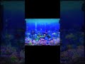 ギンパラ3甘 S223回 本編→…(スマホは右上)説明からどうぞ。