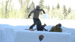 Snow Desk LIVE! Surviving Winter in Grand Teton