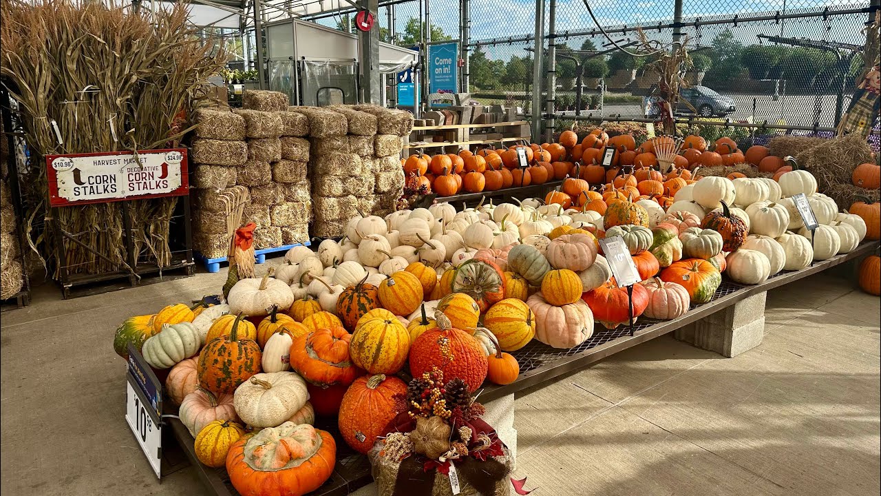 LOWES GARDEN CENTER SEPTEMBER FULL INVENTORY TOUR🌳🌼 FALL IS FOR