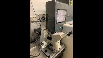Live CLEM HPF - Full workflow - 720p