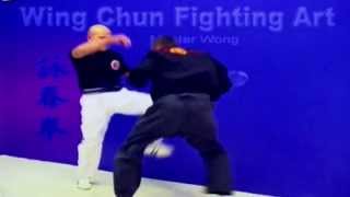 Wing Chun kung fu - Fight Art Lesson 7