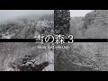 雪の森３癒しのチェロ 信州聖高原（自然映像とBGM/心身浄化・癒し）Music for Cello