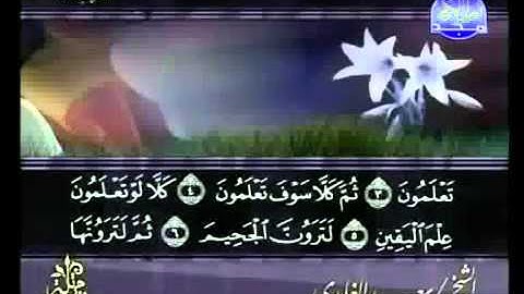 سورة التكاثر بصوت الشيخ سعد الغامدي