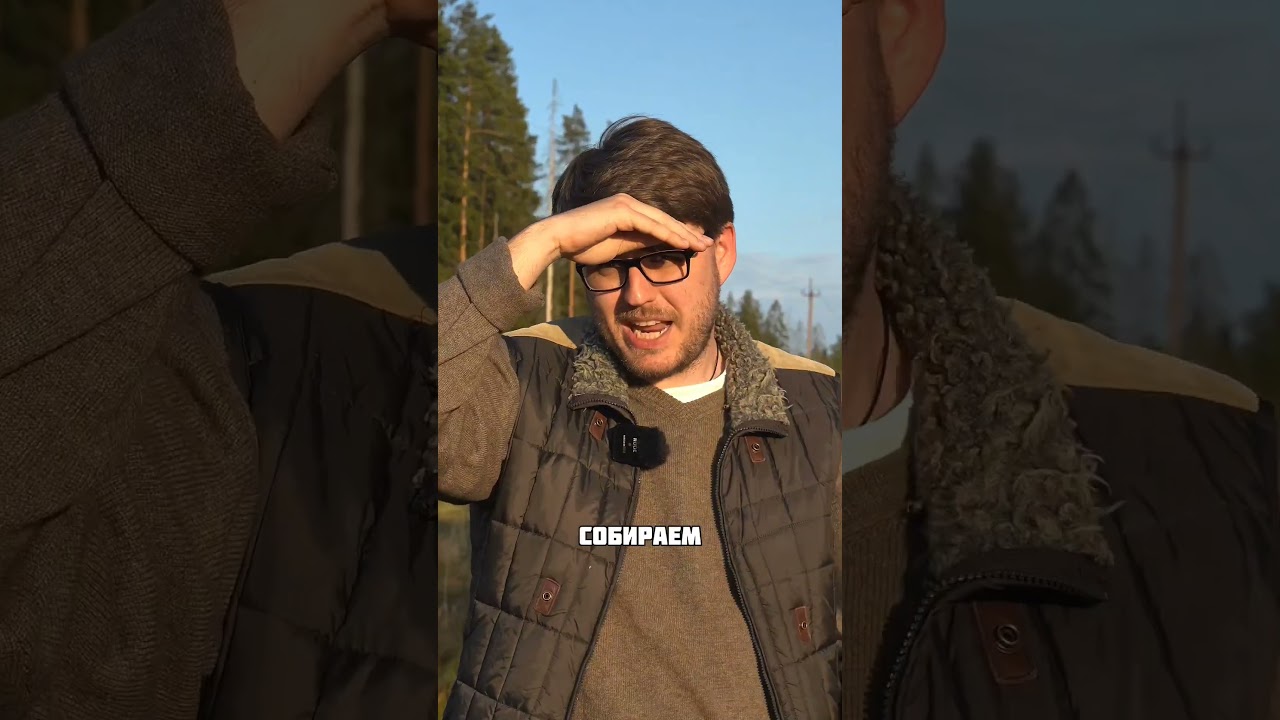 Лям на мхе за месяц? Реально! 