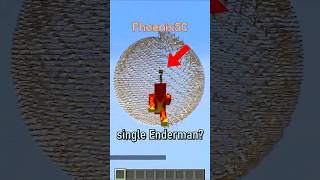 10,000 ARROWS VS. 1 Enderman