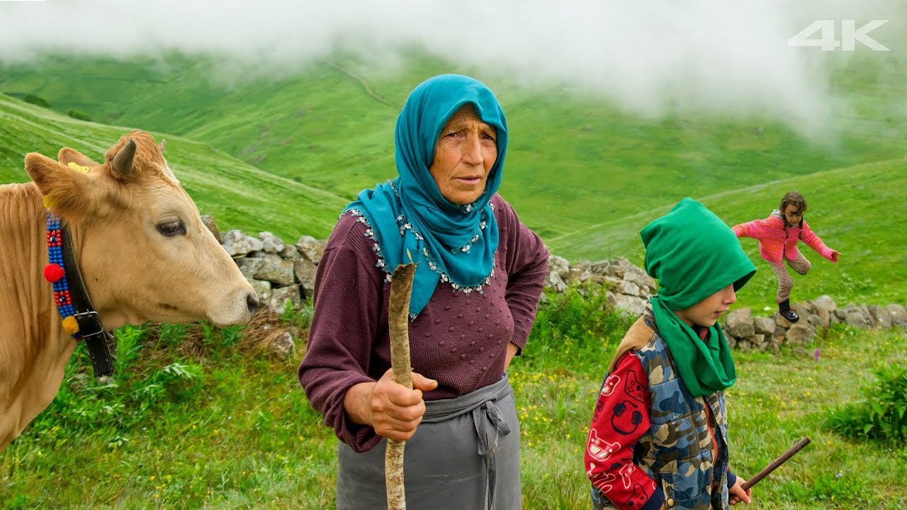 Горное приключение маленьких гостей | Документальный фильм