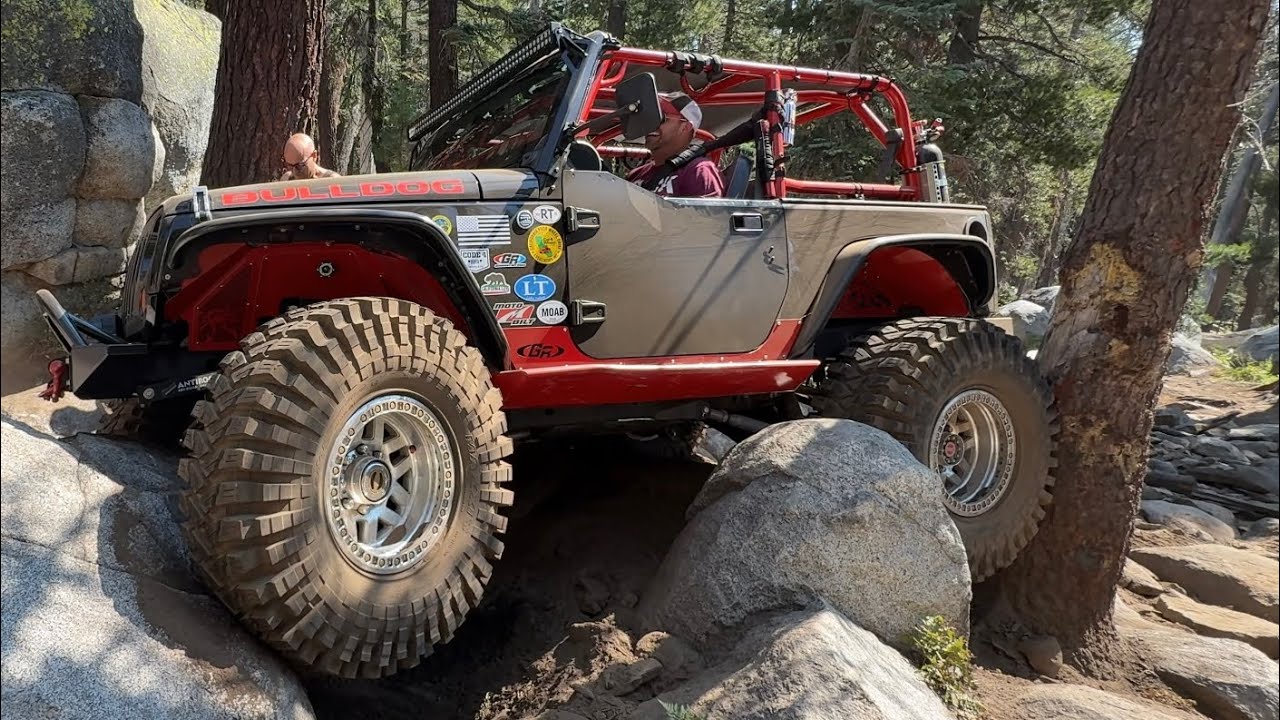Stuck in a Tree on Barette Lake Trail