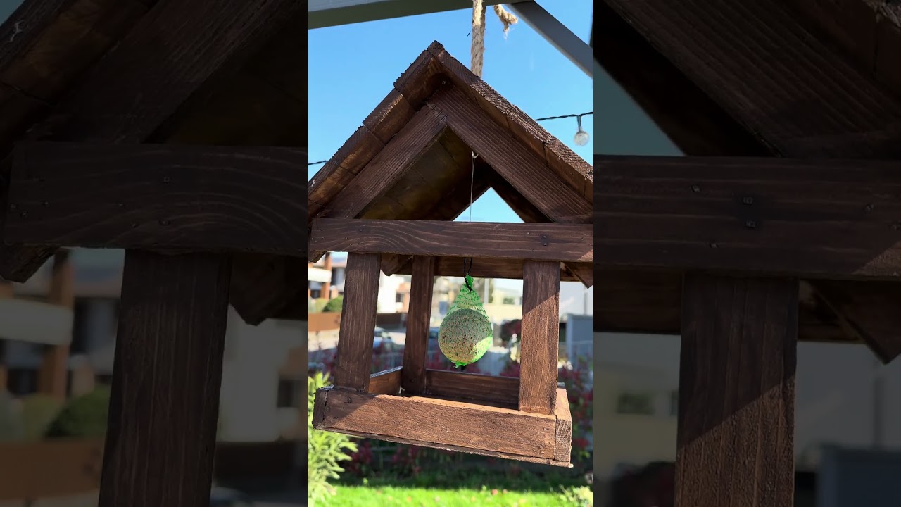 Ho costruito una Casetta per uccelli 