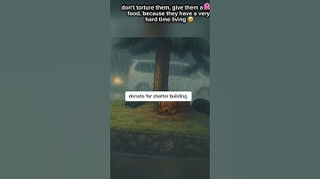 please consider donating to our PayPal link in bio on our Instagram page for support #donate