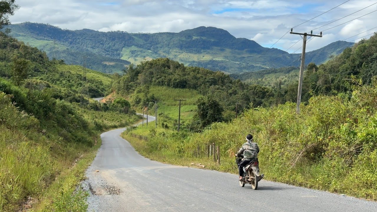 dawm cua moos cab | November 2, 2025