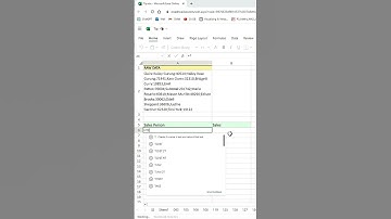 SPLIT TEXT LIKE A PRO in Excel Microsoft 365!