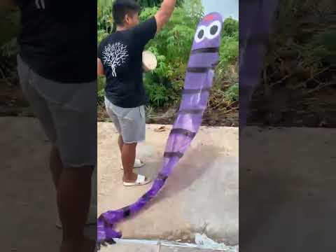 Video: Apakah Itu Tuangan Worm - Cara Membuat Tuangan Worm