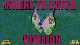 Where to Catch Vivillon in Pokemon Scarlet and Violet