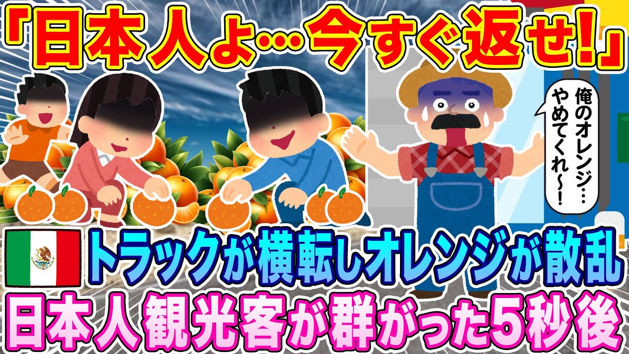 「日本人よ！今すぐ返せ！」メキシコでトラックが横転しオレンジが散乱、通りかかった日本人観光客が群がった5秒後…【海外の反応】【ゆっくり解説】