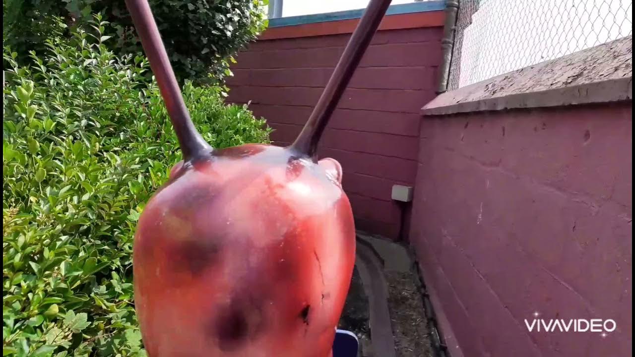 Short video of The Snails at Great Yarmouth Joyland 25/07/21 YouTube