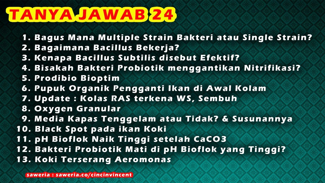 Tanya Jawab 24